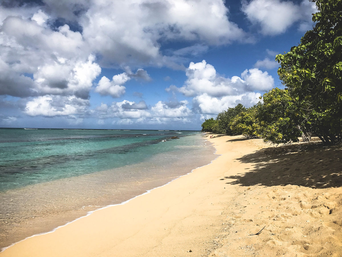 Plage du Souffleur Guadeloupe