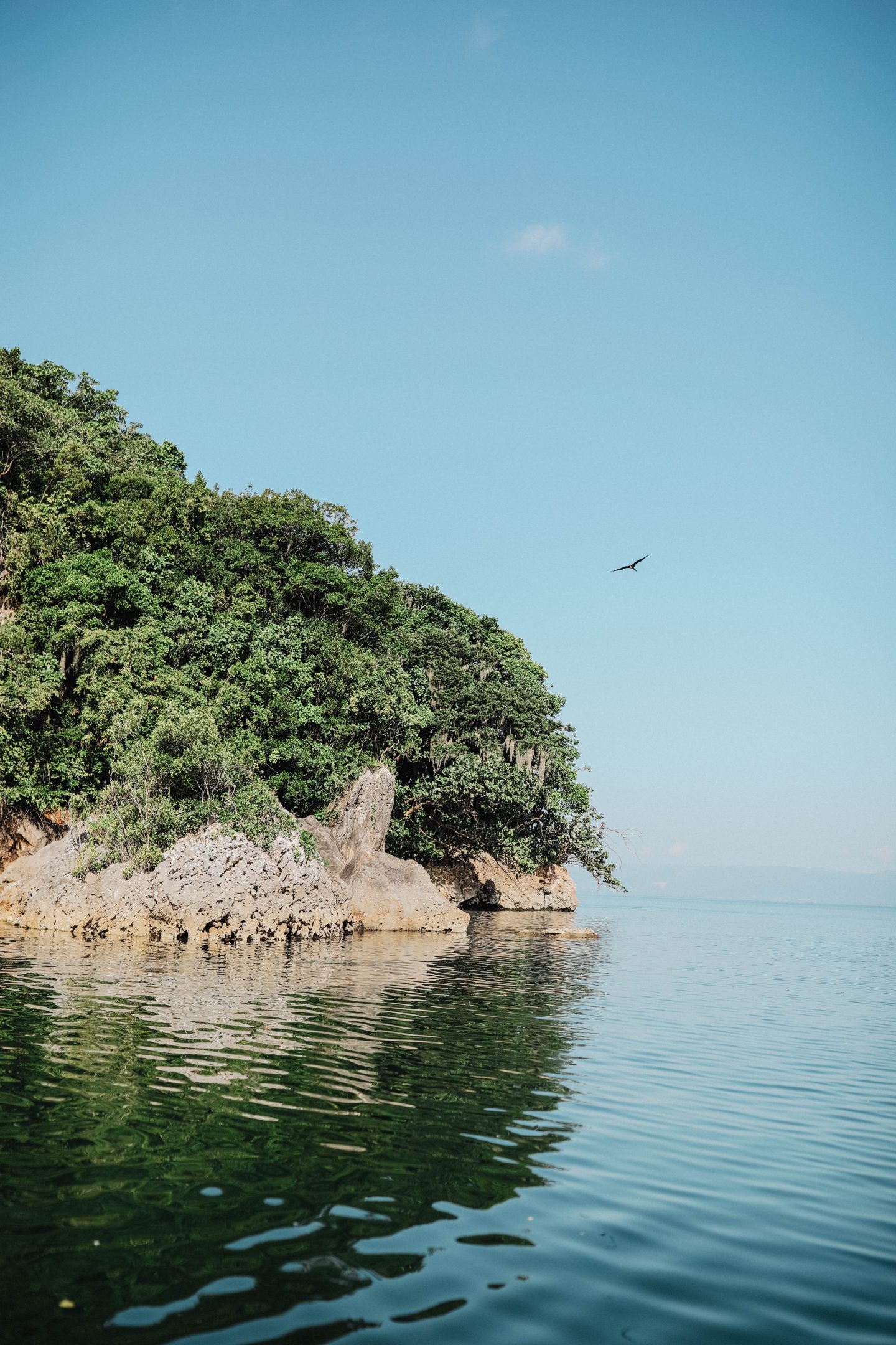 L'île Los Haitises republique dominicaine 