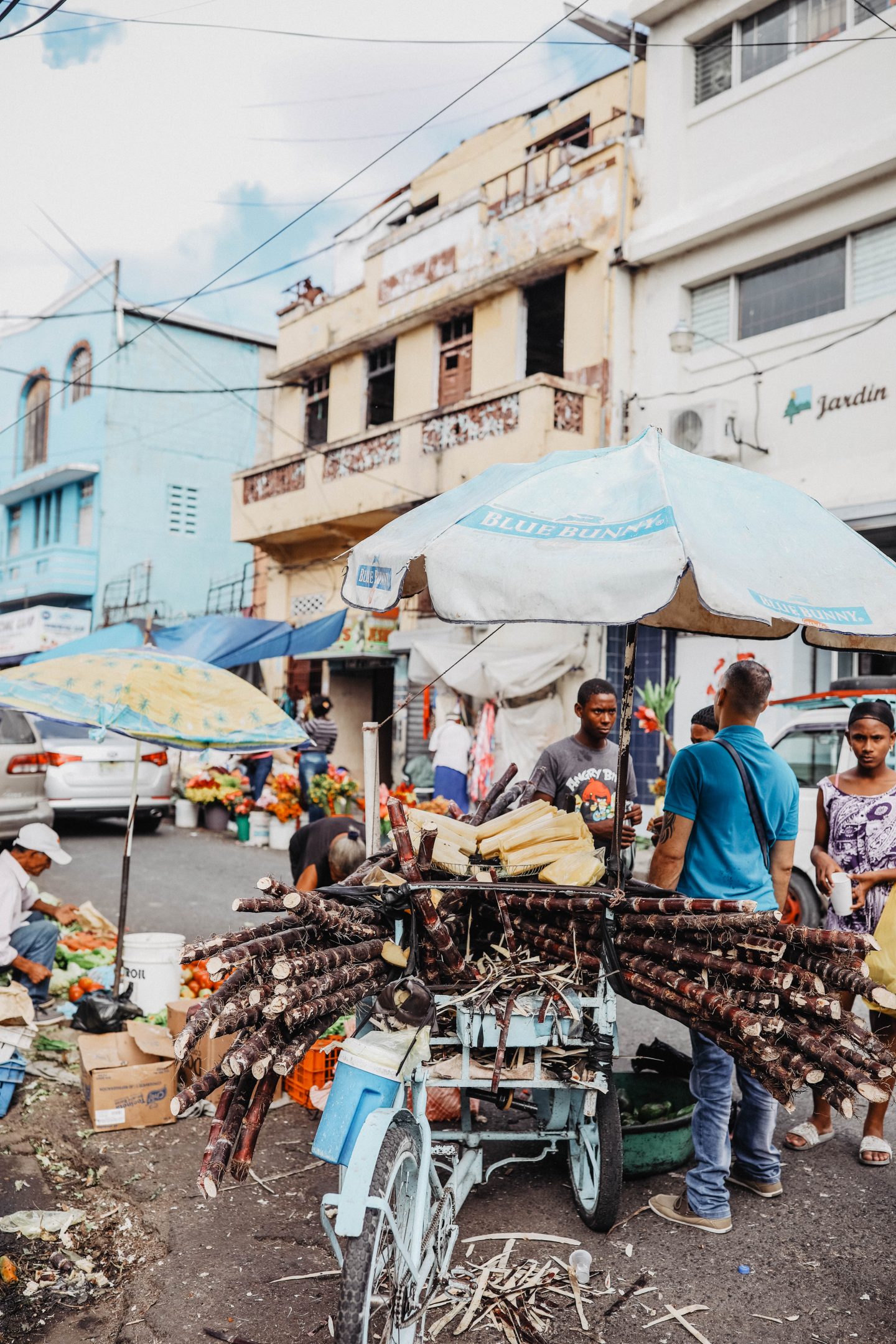 Vendeurs de sucre de cannes marché de saint domingue